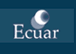 Consultora IT